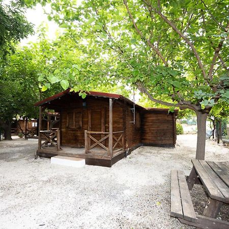 Cabanas Rurales - Las Taneas يستي المظهر الخارجي الصورة